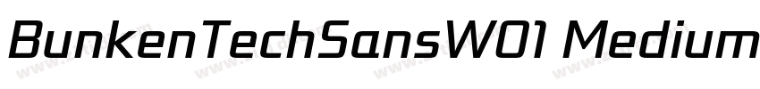 BunkenTechSansW01 MediumIt字体转换 BunkenTechSansW01 MediumIt字体转换